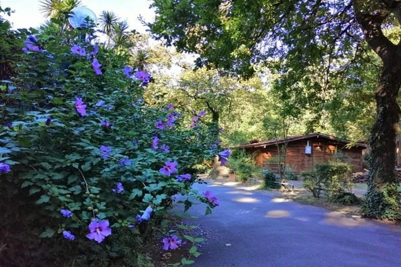 Seven Hills Village Рим Экстерьер фото